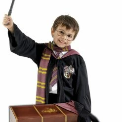 Rubies Harry Potter Trunk Set