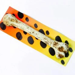 Bristol Barbarian Bone