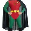 Rubies Robin, Boy Wonder Male Costumes