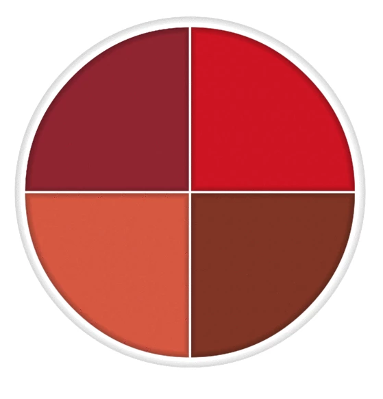 Bruise Wheels Ben Nye Wheel Fx, Severe Exposure 14g