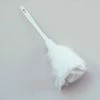 Bristol Feather Duster All Around The World