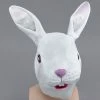 Vendor-unknown Rabbit Mask