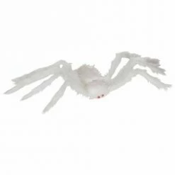 Bristol Spider, Hairy Halloween Accessories